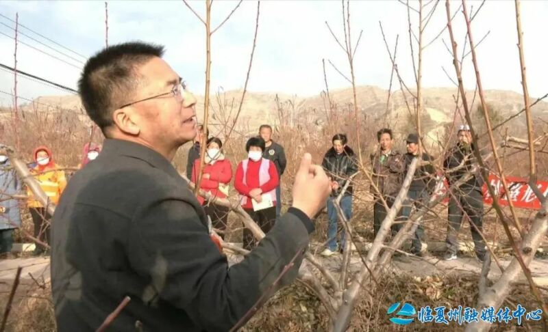 东乡县组织开展生态护林员暨冬季果树修剪技术培训3.jpg