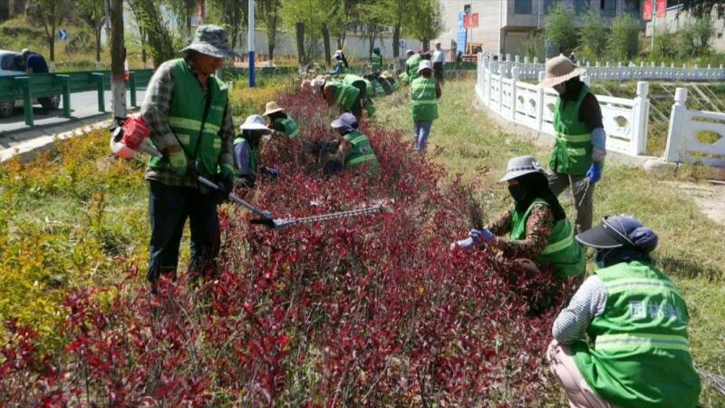 东乡县积极开展秋季绿化养护管理工作1.jpg