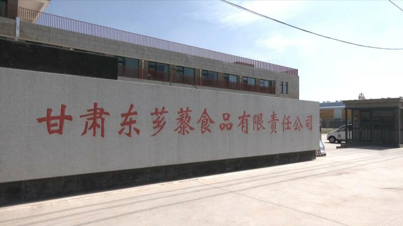 东乡:优化营商环境 助力企业和群众迈向“藜”想生活2.jpg