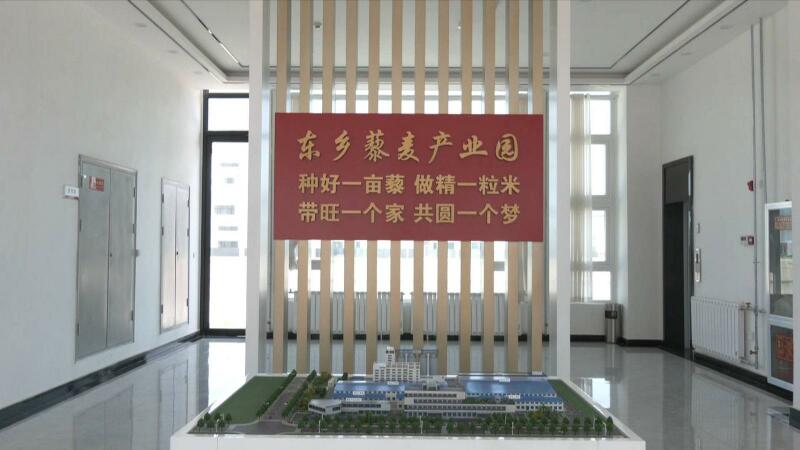 东乡:优化营商环境 助力企业和群众迈向“藜”想生活4.jpg