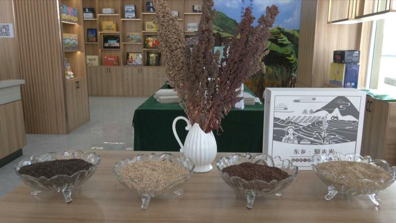 东乡:优化营商环境 助力企业和群众迈向“藜”想生活5.jpg